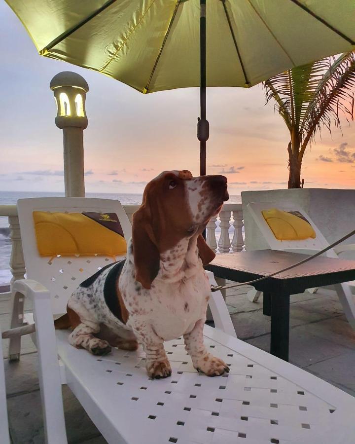 Hotel La Casona Beach El Guayabo 外观 照片